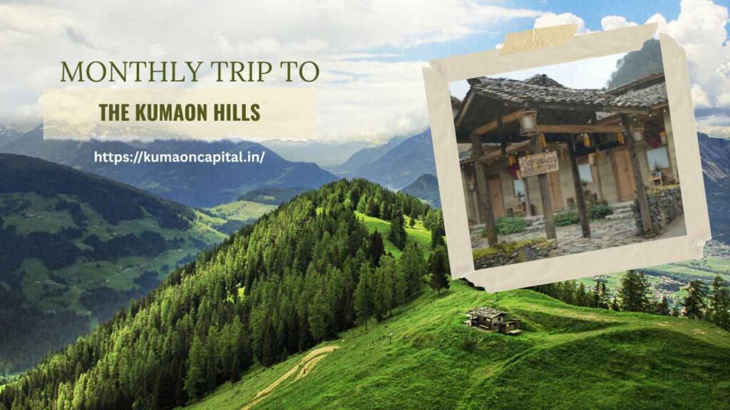 Rental Stay Provider in Binsar – Fully Furnished Rooms